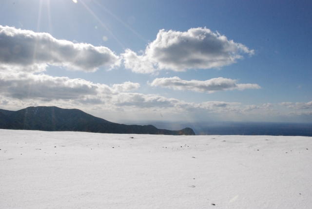 ふれあい牧場　雪01の画像