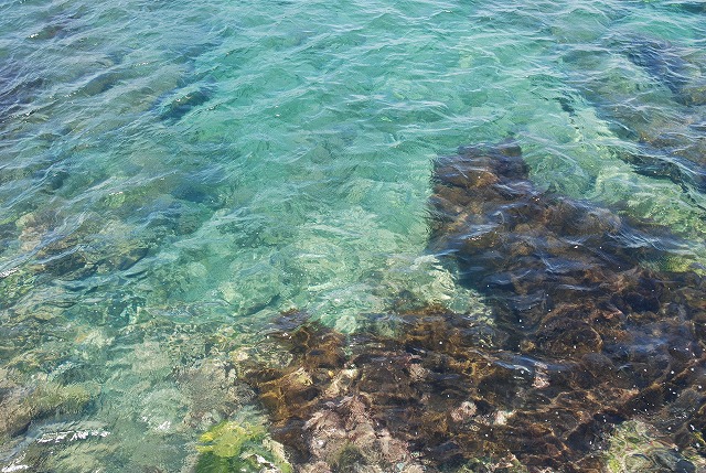 海の画像
