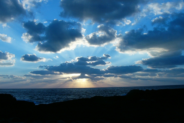 空02の画像