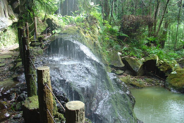 裏見ケ滝02の画像
