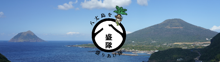 八盛隊「八丈島を盛りあげ隊」
