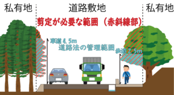 剪定が必要な範囲（赤斜線部）の画像