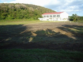 樫立運動場の画像