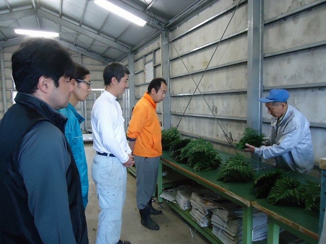 JA共撰見学(レザーファン)の画像