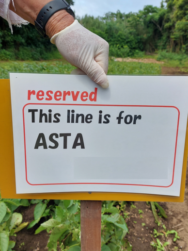 「この列はアスタ予約済みです」英語の画像
