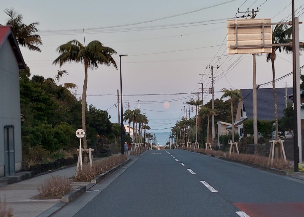 底土(そこど)の画像
