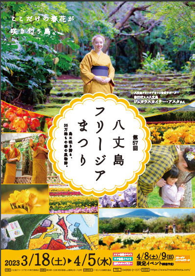 八丈島フリージアまつりチラシの画像