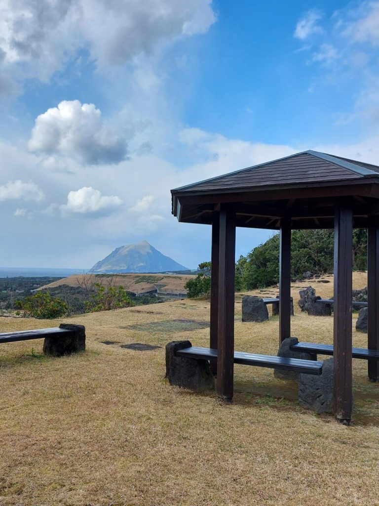 八丈小島の画像