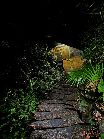 裏見ヶ滝温泉の下り階段の画像