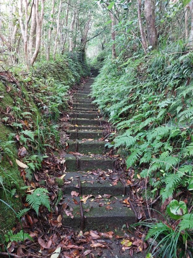 三原山登山道の階段の道の画像
