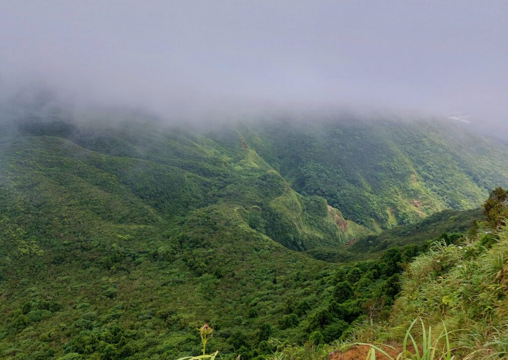 三原山の風景の画像