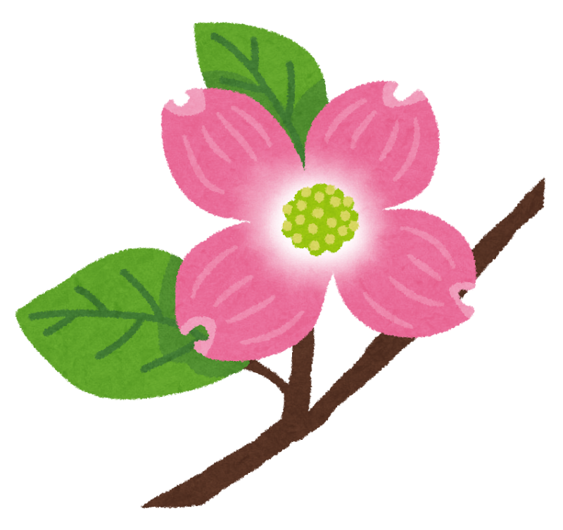 変化が決して悪いことではないの画像