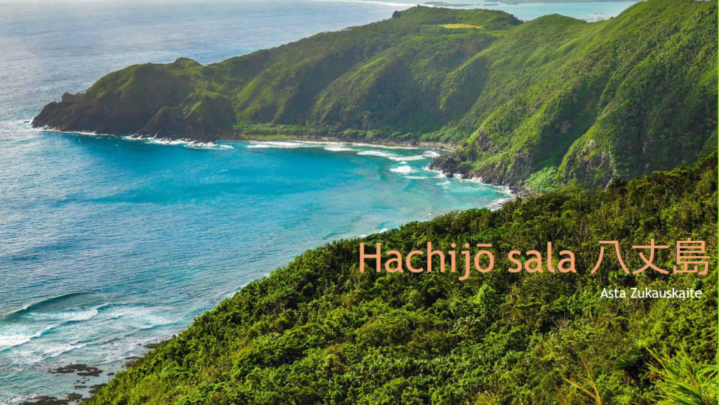 八丈島の画像
