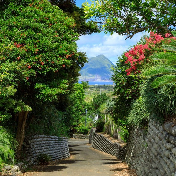 八丈島で暮らそう～八丈物語～のイメージ写真