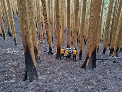綾里地区山中での消火活動、鎮圧確認