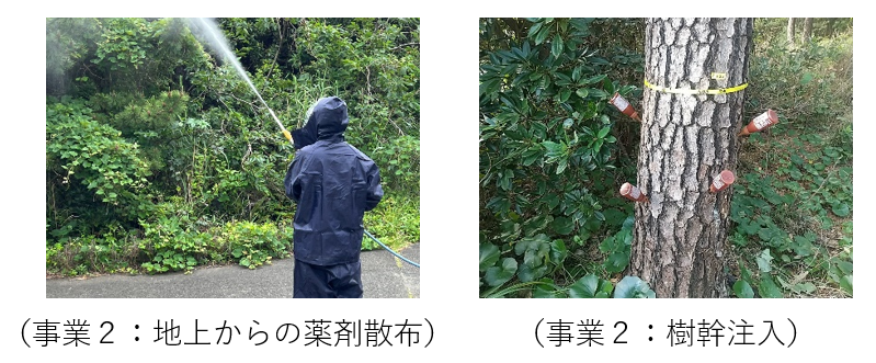 地上からの薬剤散布 樹幹注入