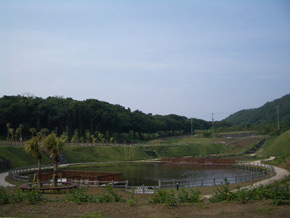 地域住民の憩いの場（親水公園）