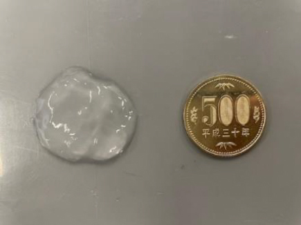 500円硬貨サイズに絞り出す画像