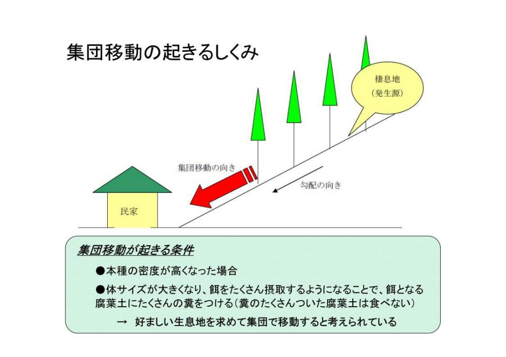 集団移動の起きる仕組み