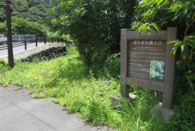 ホタル水路02の写真