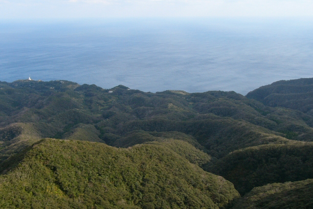 三原山01の写真