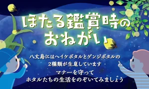 ほたる観賞時のお願い（ほたる水路だより）
